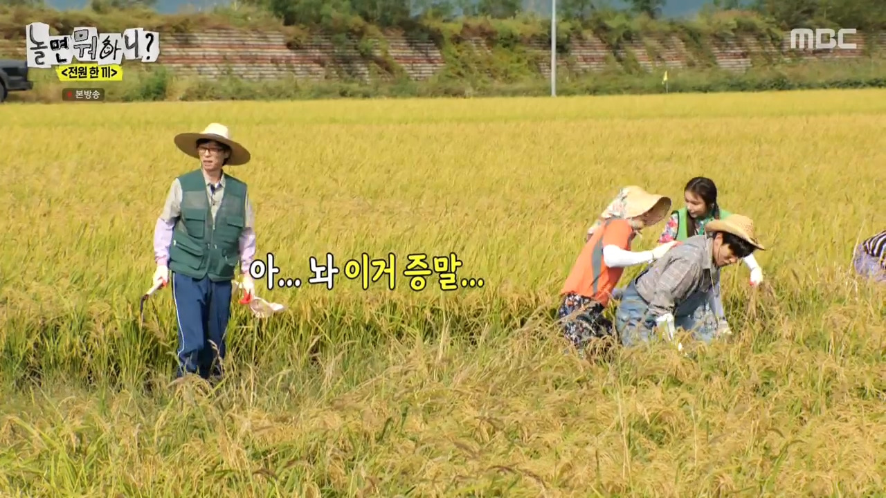 [잡담] 가지가지하는 유재석 이이경 이상이 패션근육 삼형제.jpg | 인스티즈