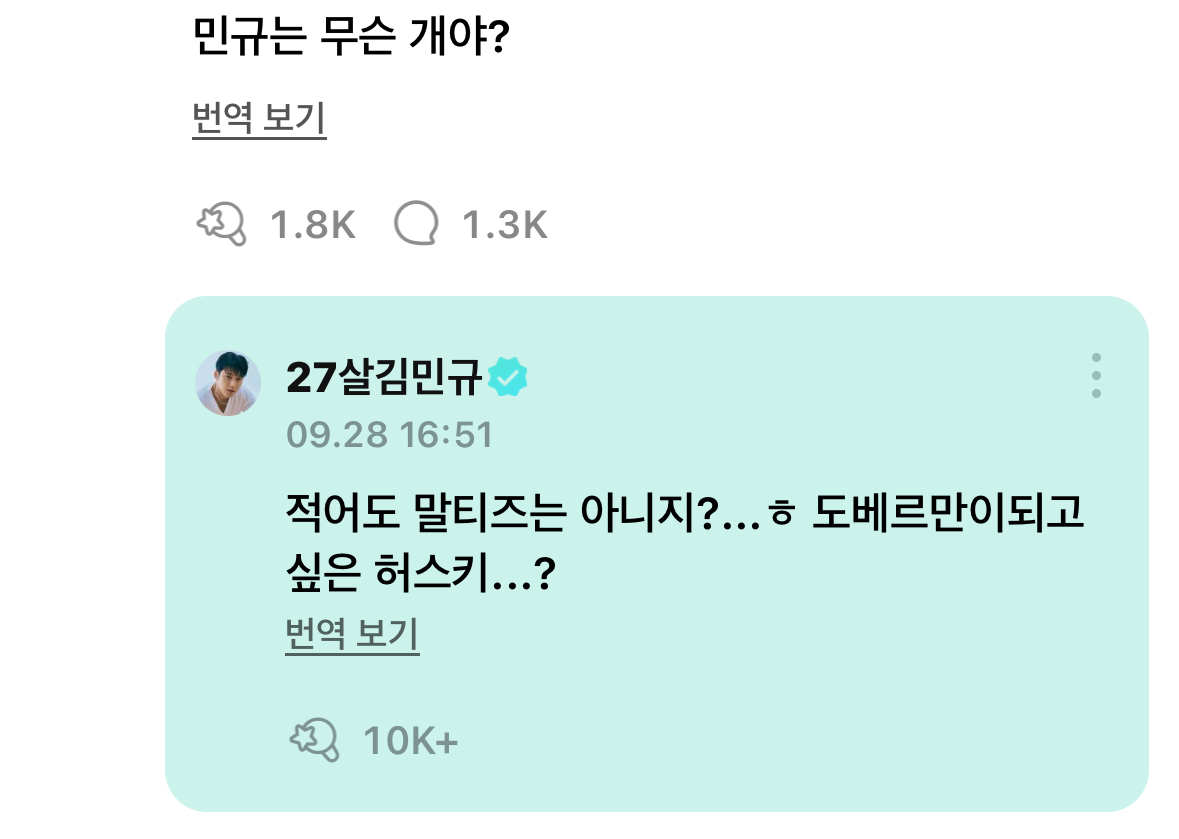 [잡담] 김민규 절대 도베르만.. 허스키가 될 수 없는 이유… | 인스티즈