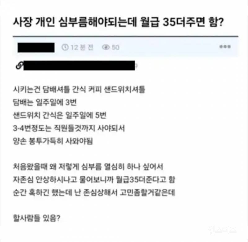 사장 개인 심부름해야 되는데 월급 35만원 더주면 함? | 인스티즈