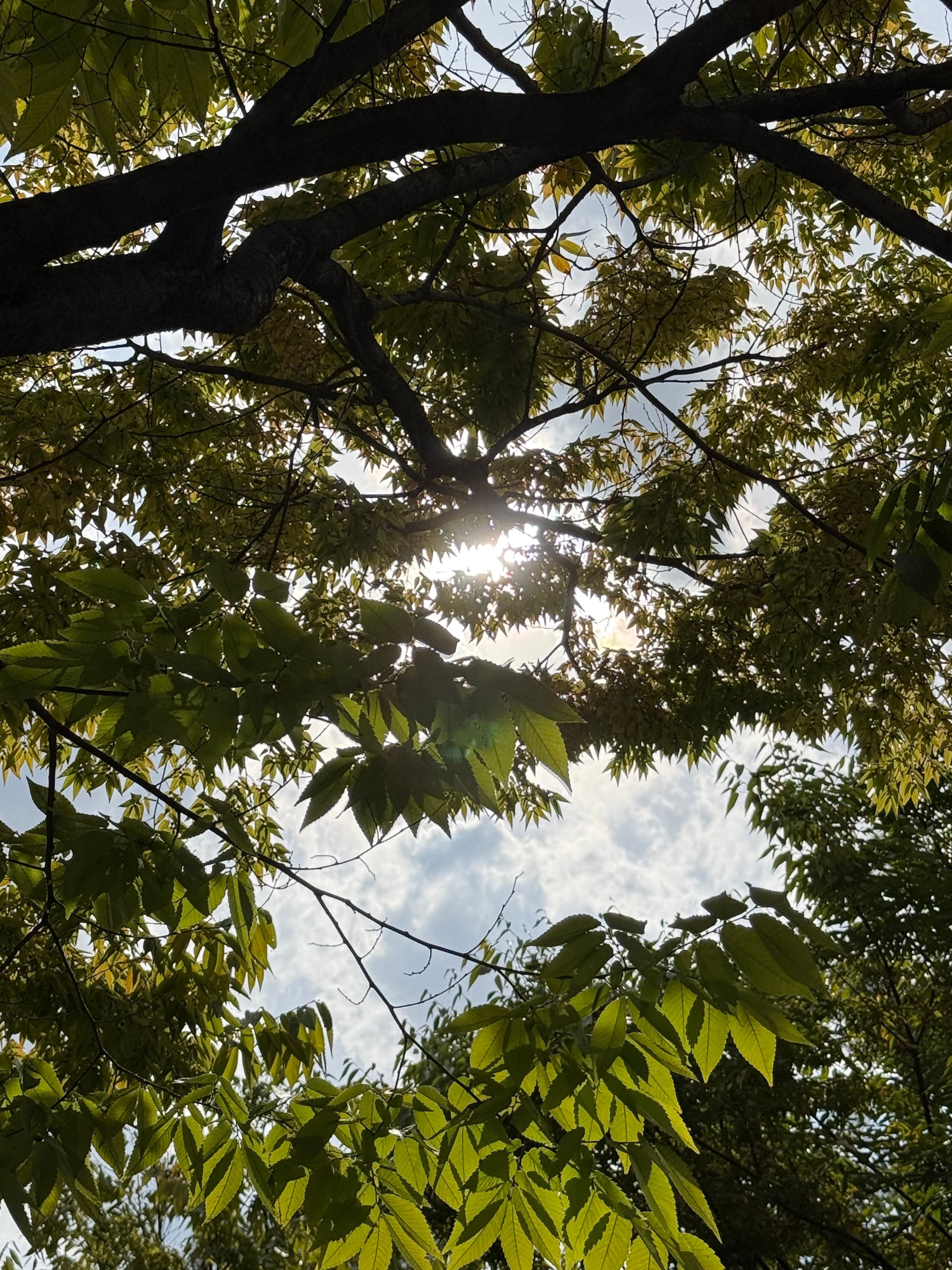 [잡담] 성한빈이 보내준 하늘사진 좋다 | 인스티즈