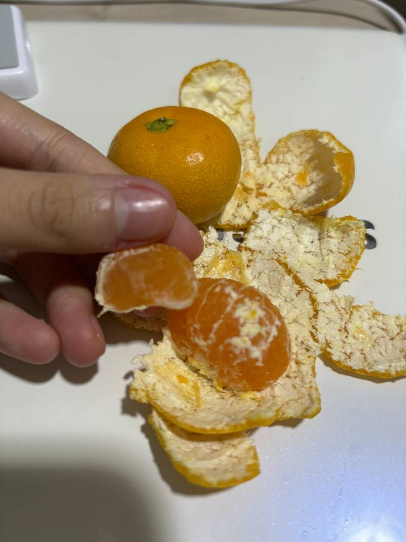 [잡담] 나 태어나서 이렇게 작은귤 처음봐...🍊🧡 | 인스티즈