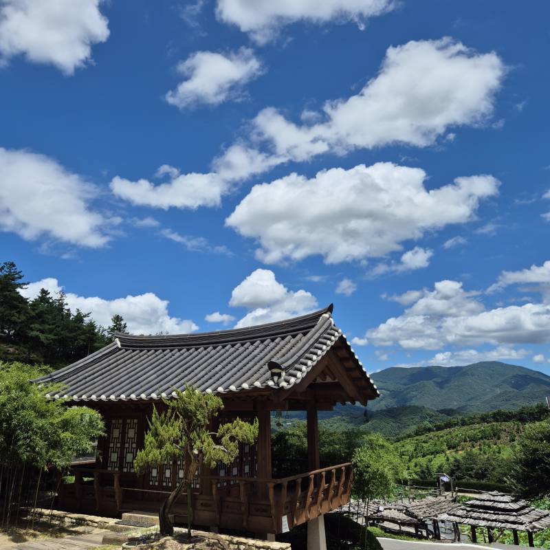 [잡담] 사찰만 가면 왜이렇게 편해지는지 모를일 | 인스티즈