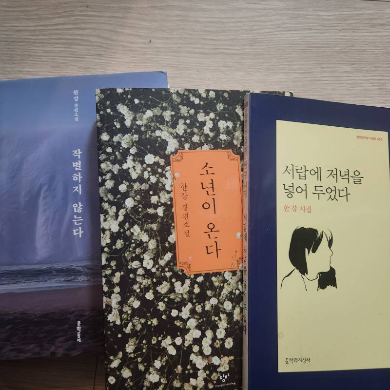 [잡담] 찾아 보니까 한강 작가 글 세 권이나 있네 | 인스티즈