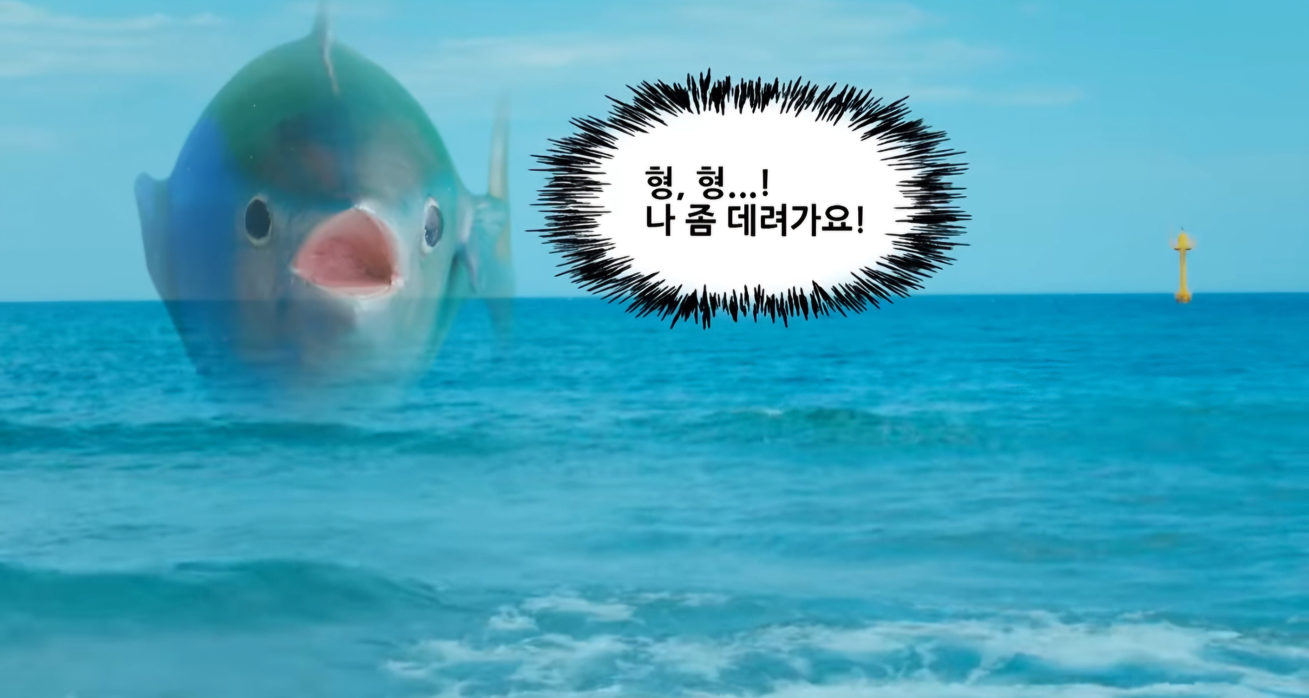 [잡담] 슈퍼참치는 형형 나 좀 데려가요🐟 이게 개처웃김 | 인스티즈