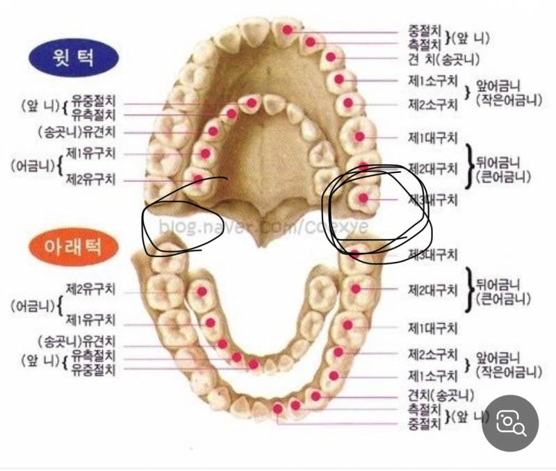 [잡담] 이쪽에 음식물이 자꾸 끼는데 | 인스티즈