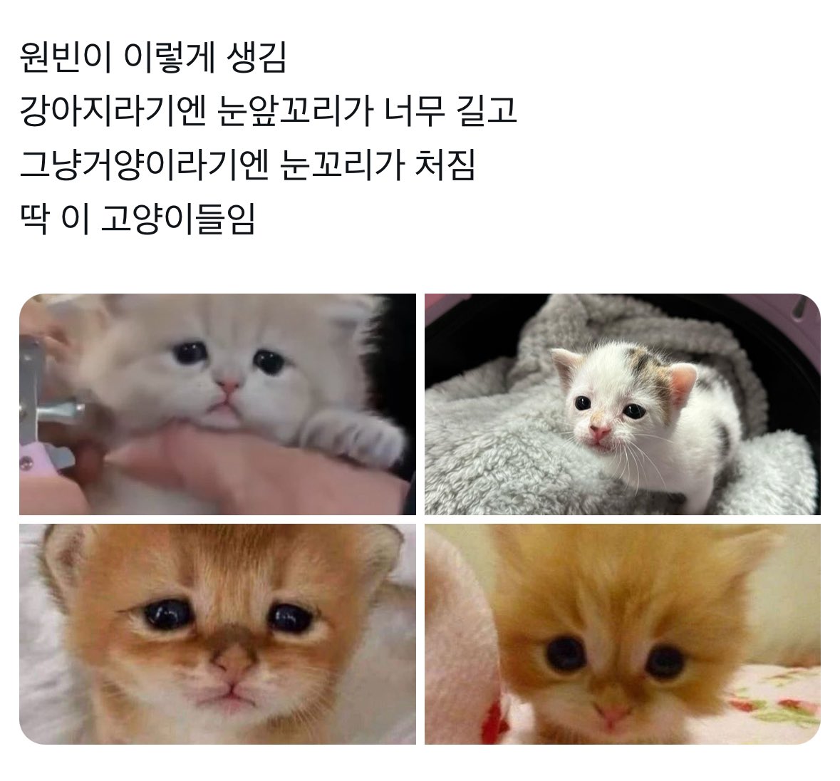 [잡담] 원빈 똑닮 | 인스티즈