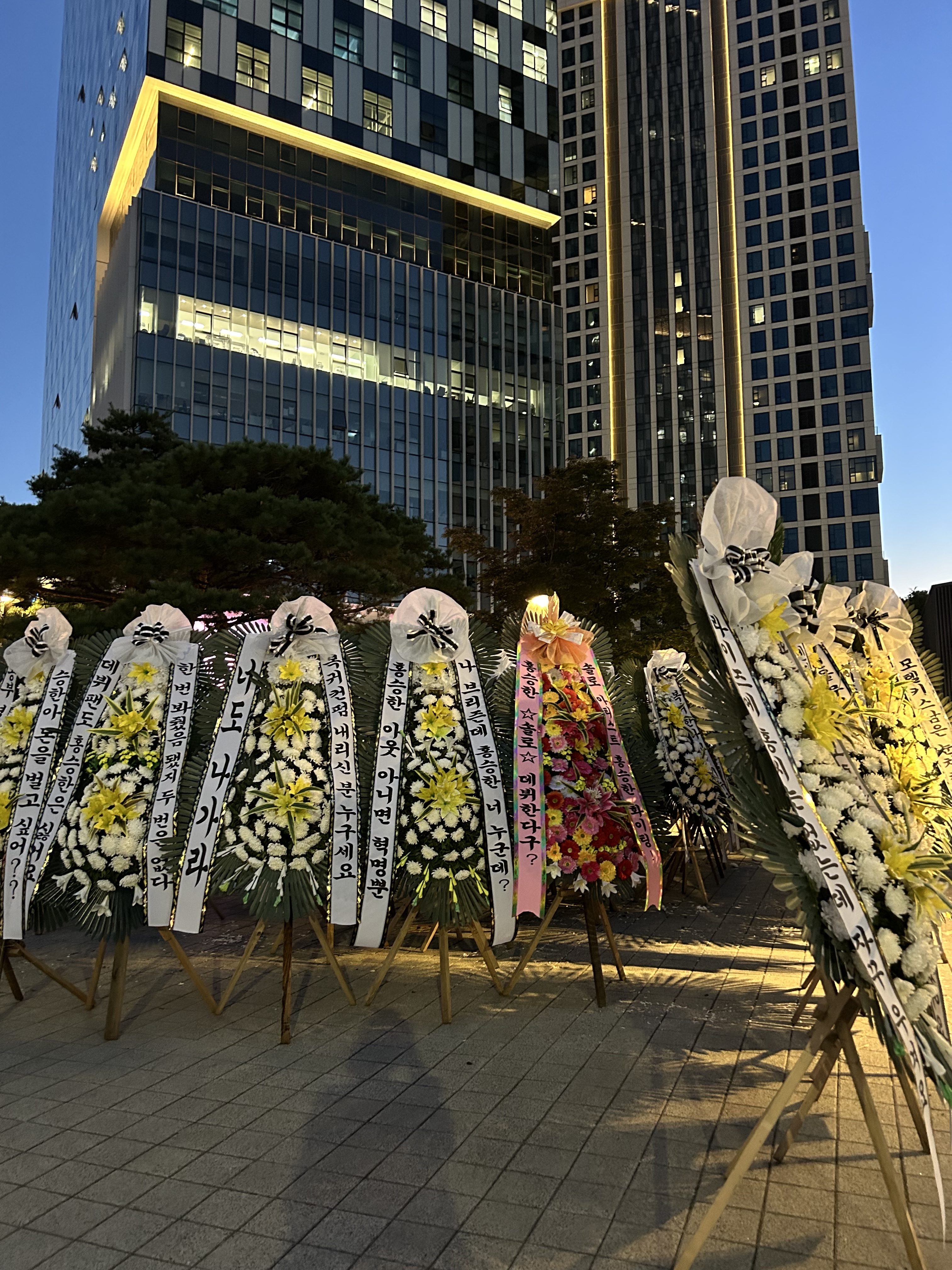 [마플] 국화꽃축제 왔어요 | 인스티즈