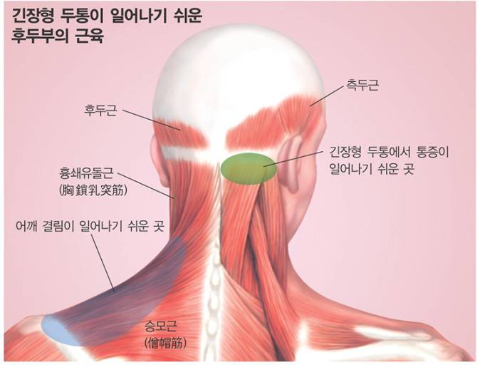 [잡담] 이 부위 뭐라고 불러? | 인스티즈