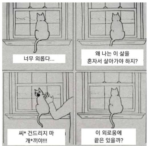 [잡담] 너무 외롭다 | 인스티즈