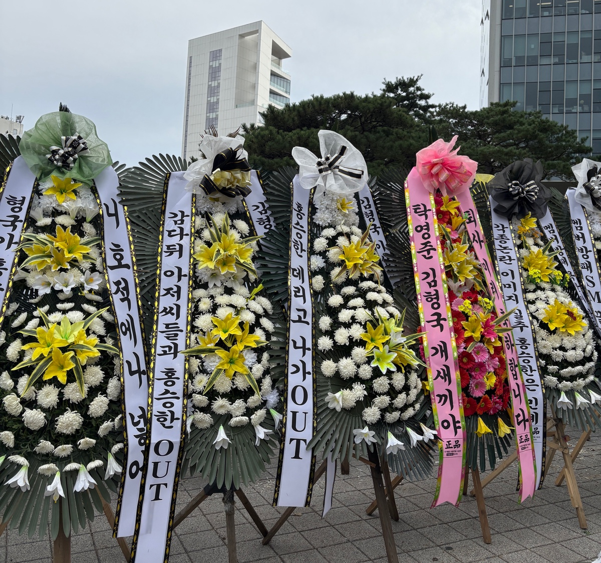 [마플] 아씨 타싸에서 주웠는데 광야 국화축제 | 인스티즈