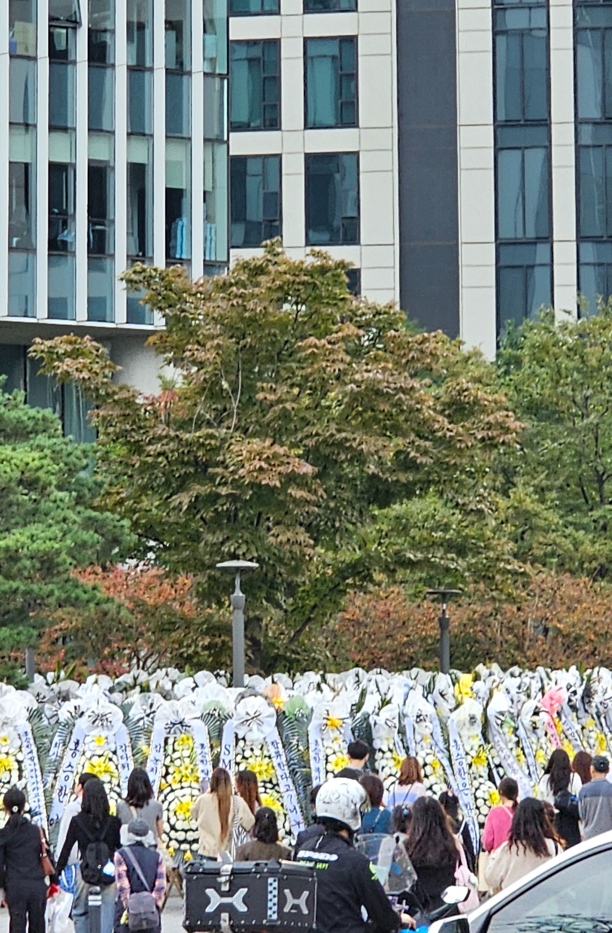 [잡담] 와 오늘 진짜 뭔 국화축제 열린줄 .... | 인스티즈