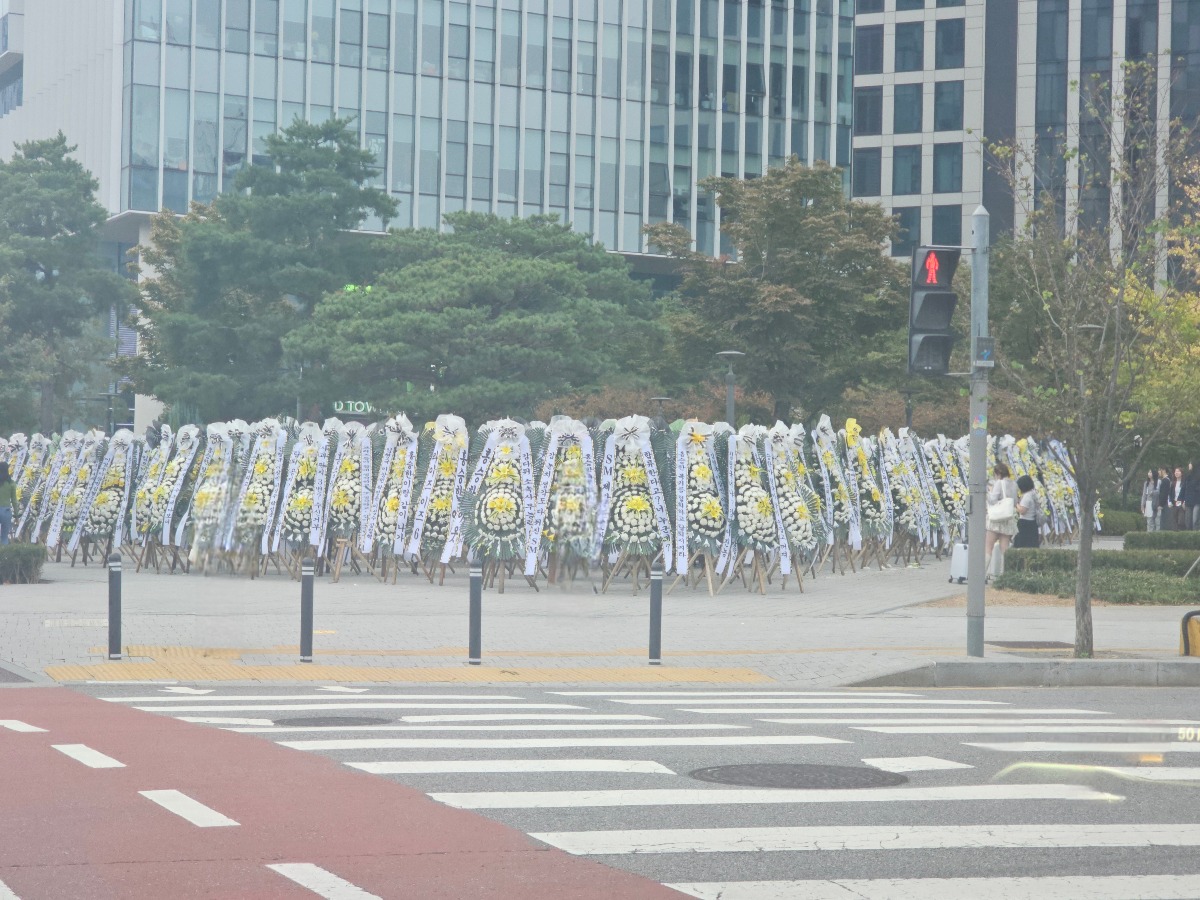 [마플] 와 서울숲 횡단보도 기다리고 있는데 건너편에 이거보이면 좀 무서울듯 | 인스티즈