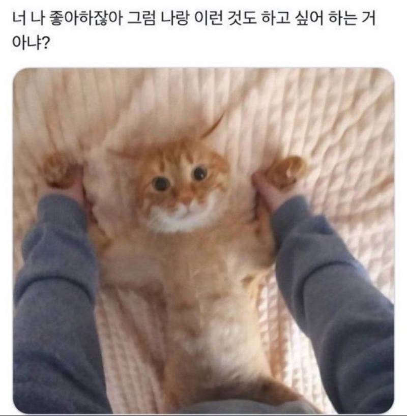 [잡담] 아 이 짤 겁나웃기다 이 대사 공 입장이야 수 입장이야 ㅋㅋㅋㅋㅋㅋ | 인스티즈