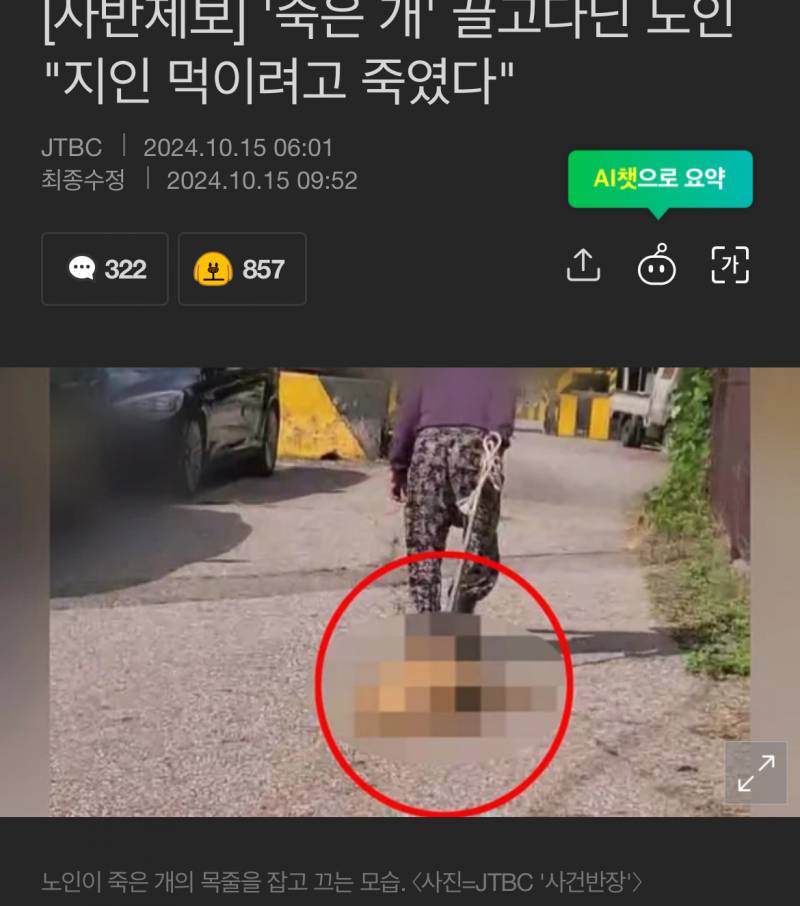 [잡담] ㅎㅇㅈㅇ) 강아지도 어떤사람을 만나냐에 따라 인생이 다르구나 | 인스티즈