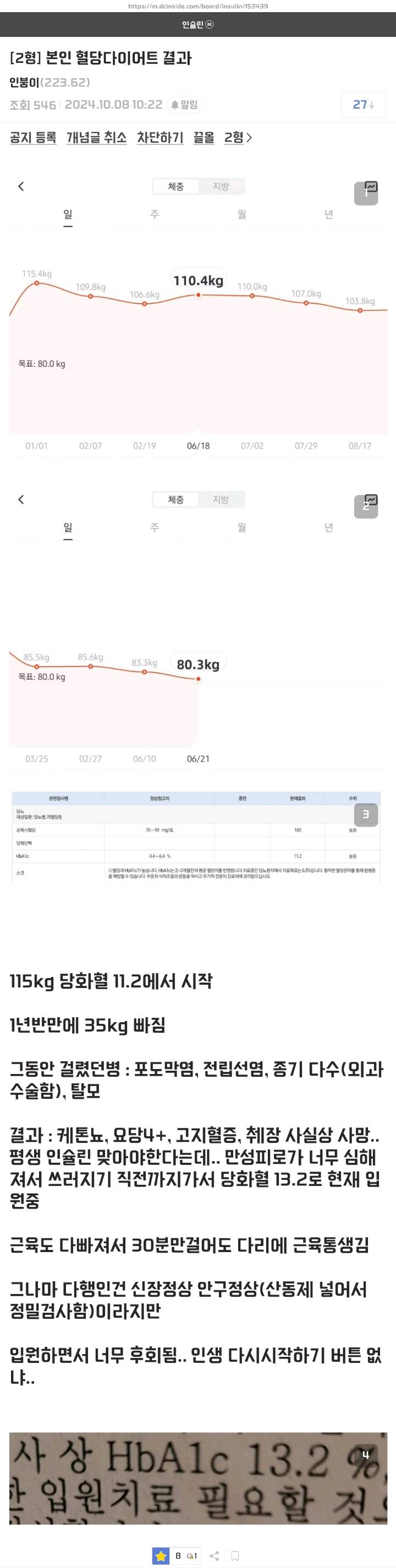 [잡담] dc에 올라온 정신나간 다이어트... | 인스티즈