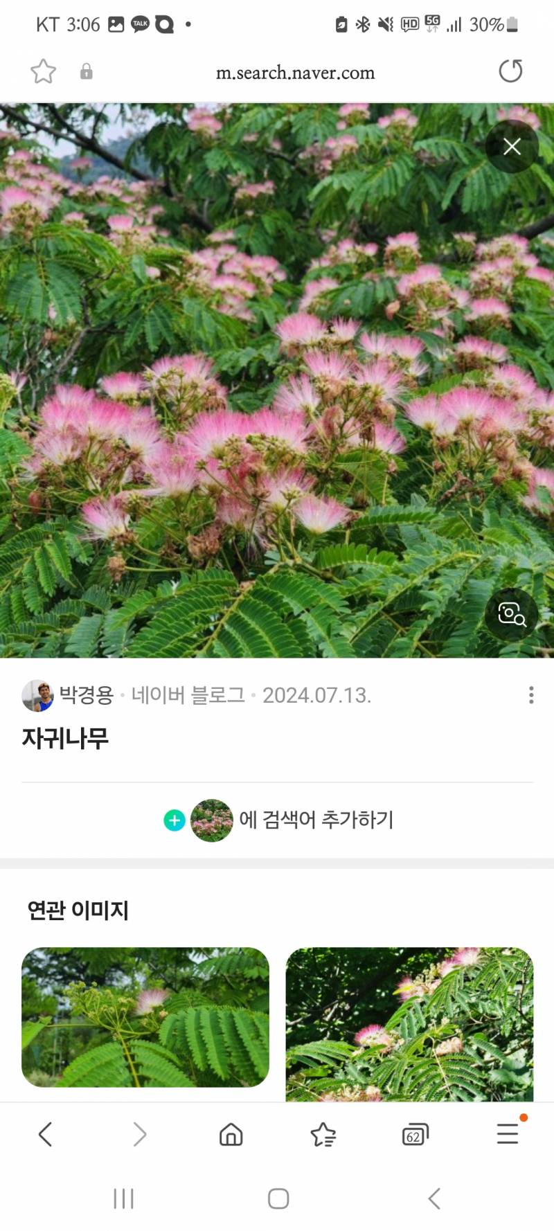 [잡담] 금목서 처돌이가 좋아하는 또다른 향기나무 알려용 | 인스티즈