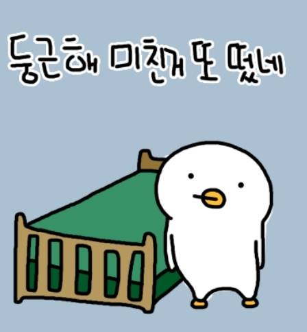 [잡담] 와 이밈 인티에서 내가 자주쓰던건데 임티나왔네 | 인스티즈