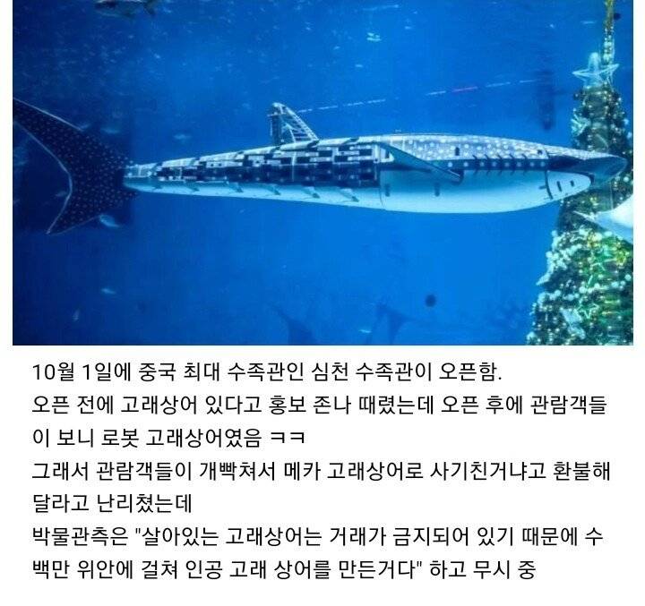 [잡담] 중국 이거 뭐임? | 인스티즈