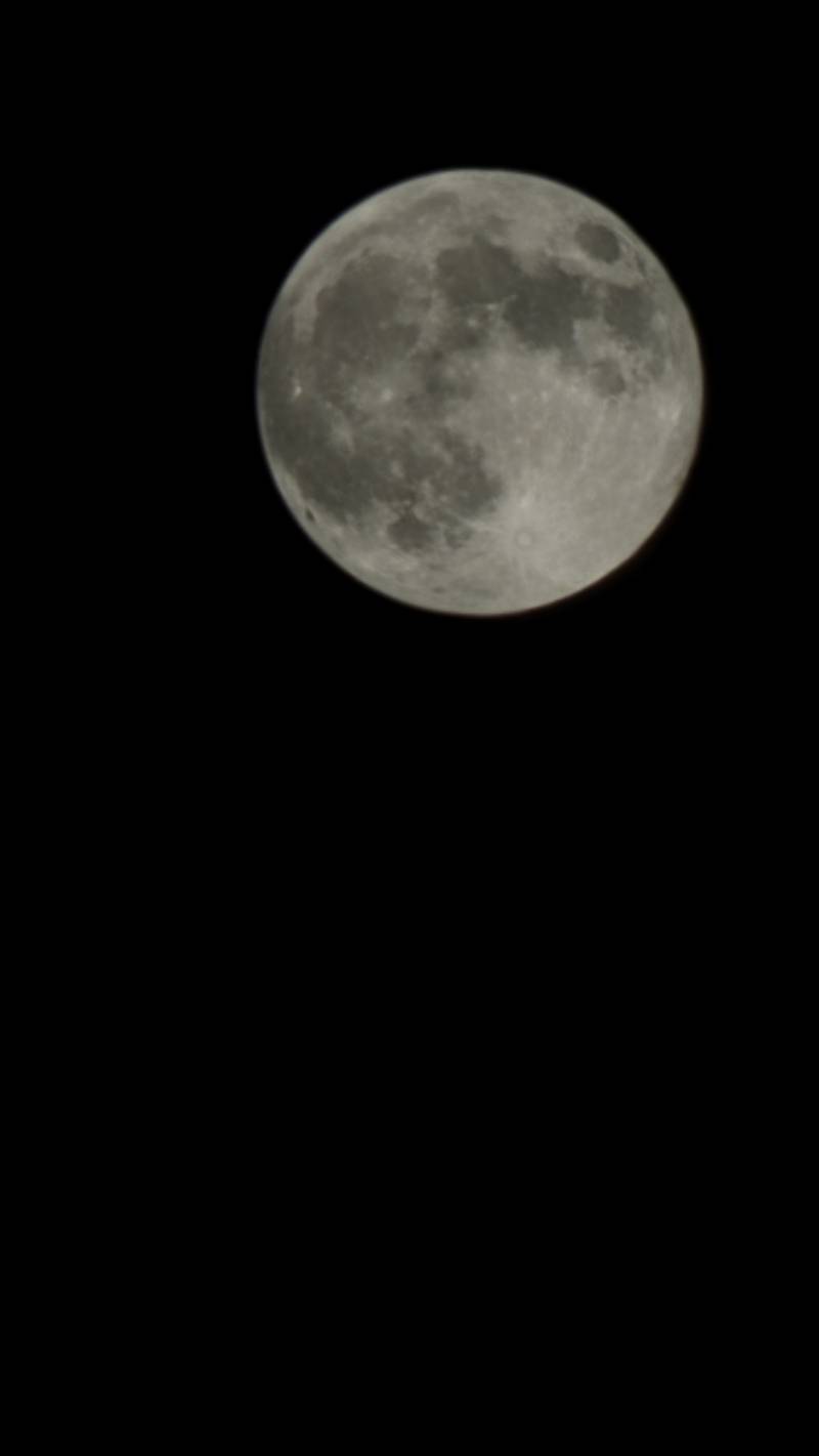 [잡담] 밑에 무지 글 보고 달찍어왓옹 ฅʕ⌯･˕･⌯ʔฅ 🌕 | 인스티즈