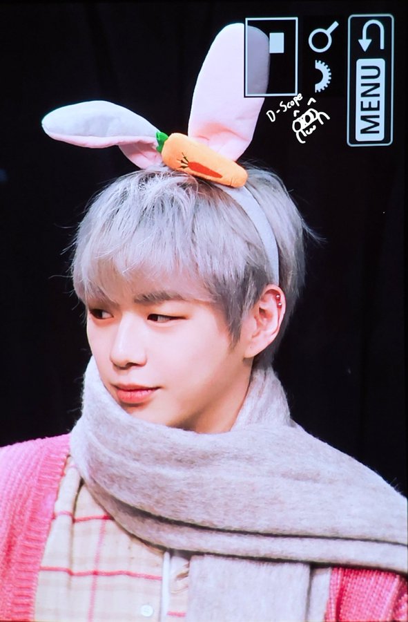 [잡담] 가을 타는 거대토끼 강다니엘 | 인스티즈