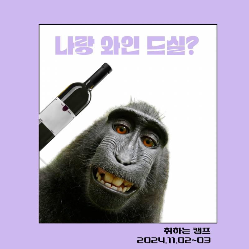 [잡담] 대구,대구근교, 영천, 와인, 캠핑 | 인스티즈