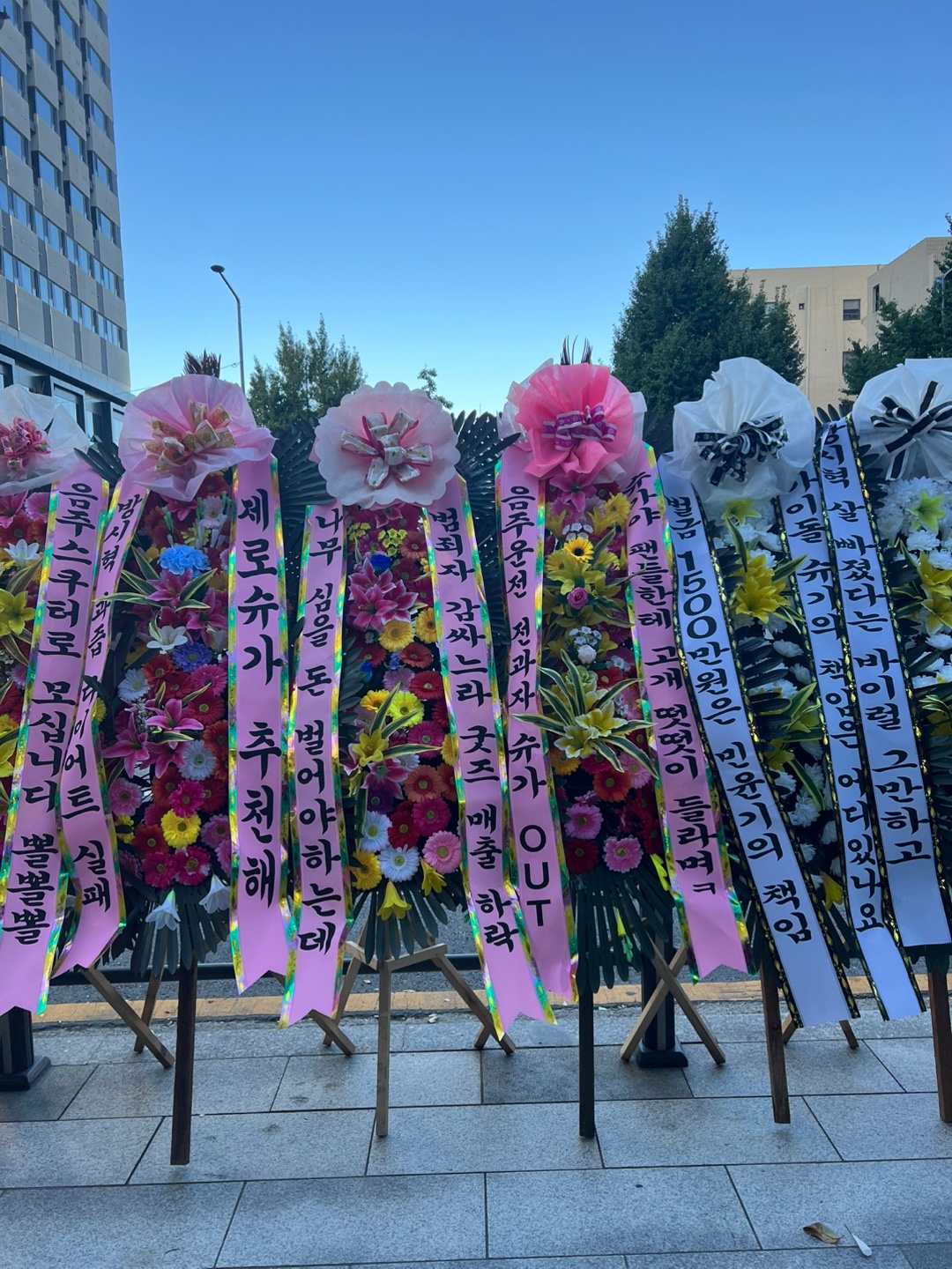 [마플] 용산 근처 거주하시는 분들 화환축제 구경하시고 푸드트럭 들렀다 가세요 | 인스티즈