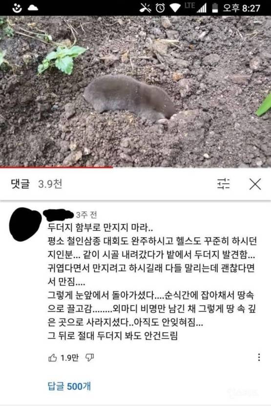 [잡담] 혹시 모르니까 너네 두더지 함부로 만지지마라 | 인스티즈