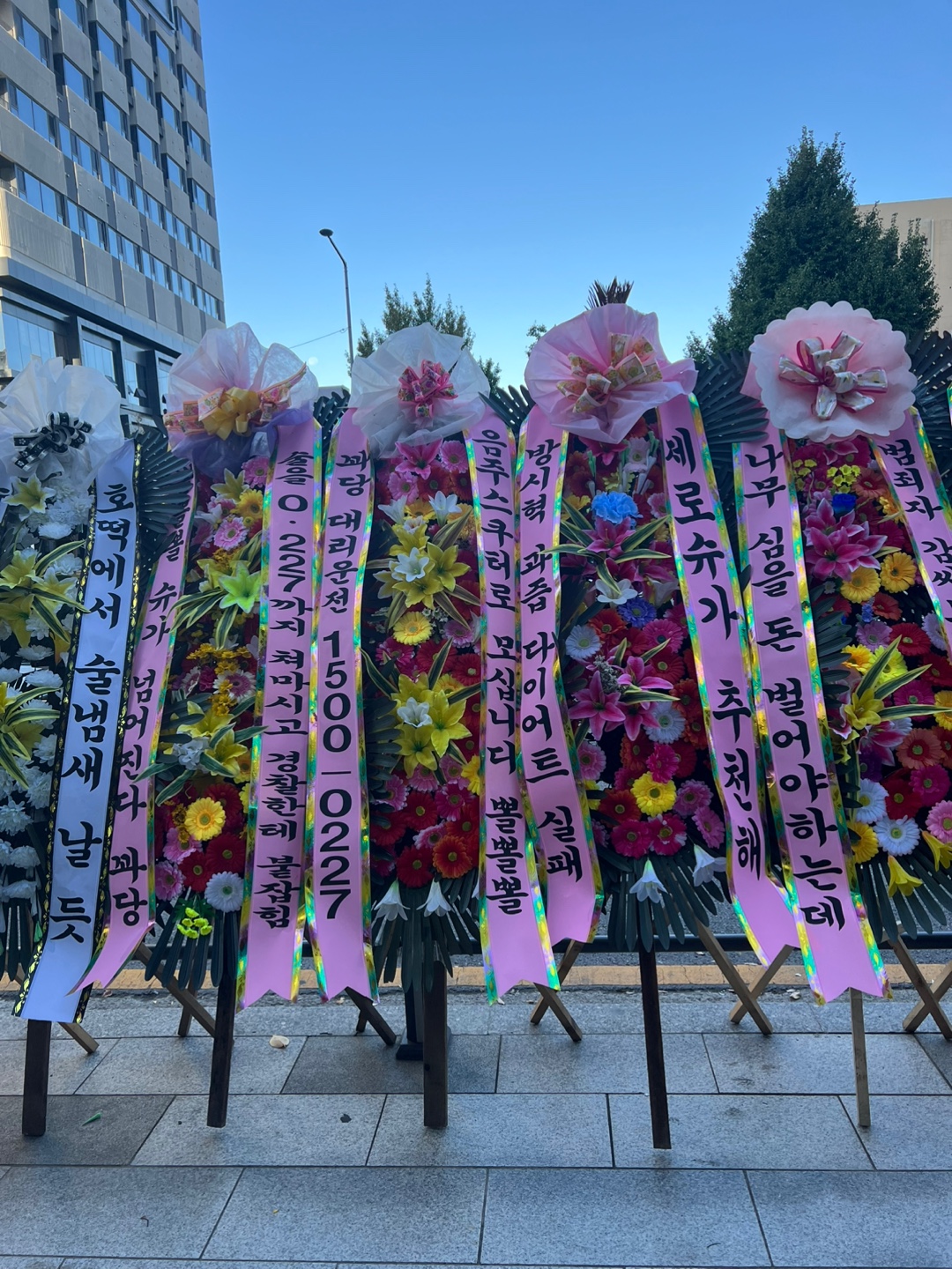 [정보/소식] 슈가 위한 하이브 국화축제 오늘부터 시작 | 인스티즈