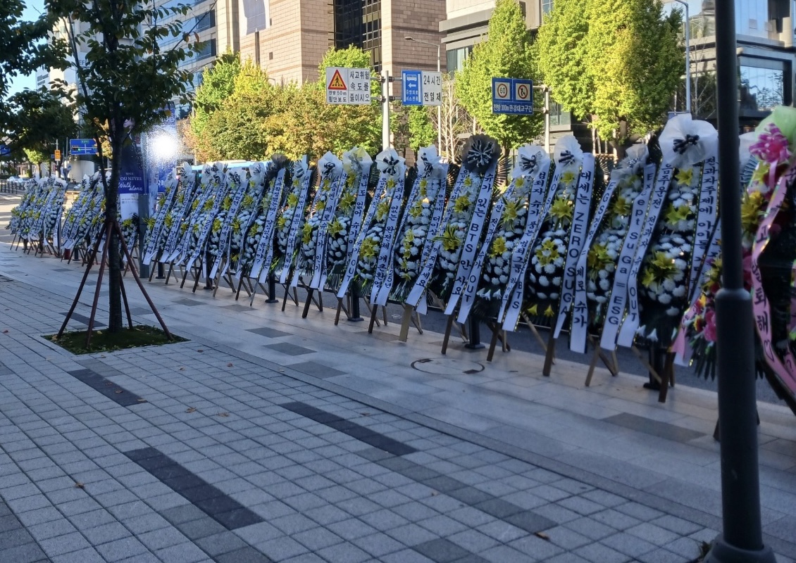 [정보/소식] 슈가 위한 하이브 국화축제 오늘부터 시작 | 인스티즈