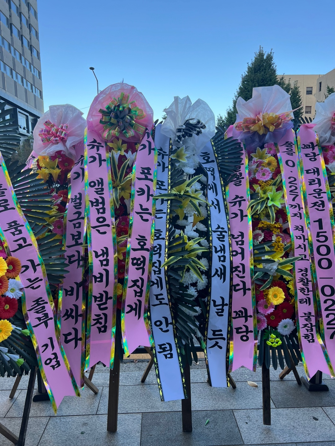 [정보/소식] 슈가 위한 하이브 국화축제 오늘부터 시작 | 인스티즈