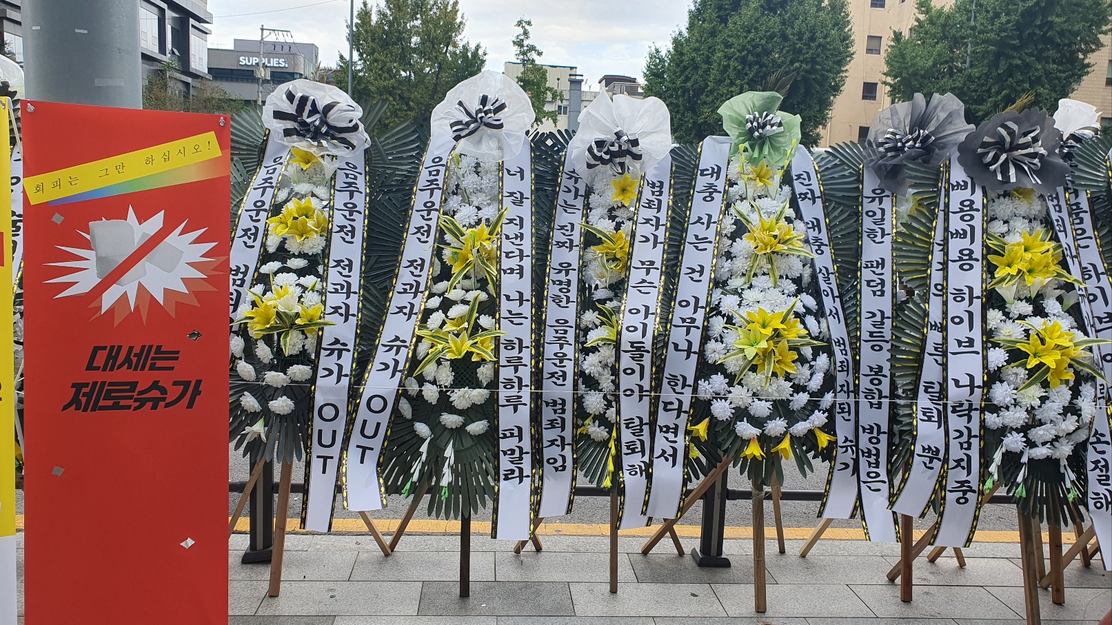 [정보/소식] 슈가 탈퇴 용산 꽃축제 2일차 | 인스티즈