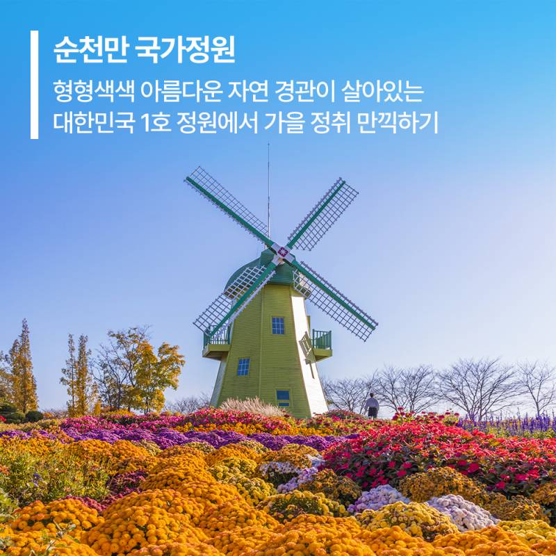 지금 아니면 안 되는 전남 가을여행지 추천 및 숙박할인 꿀팁.jpg | 인스티즈