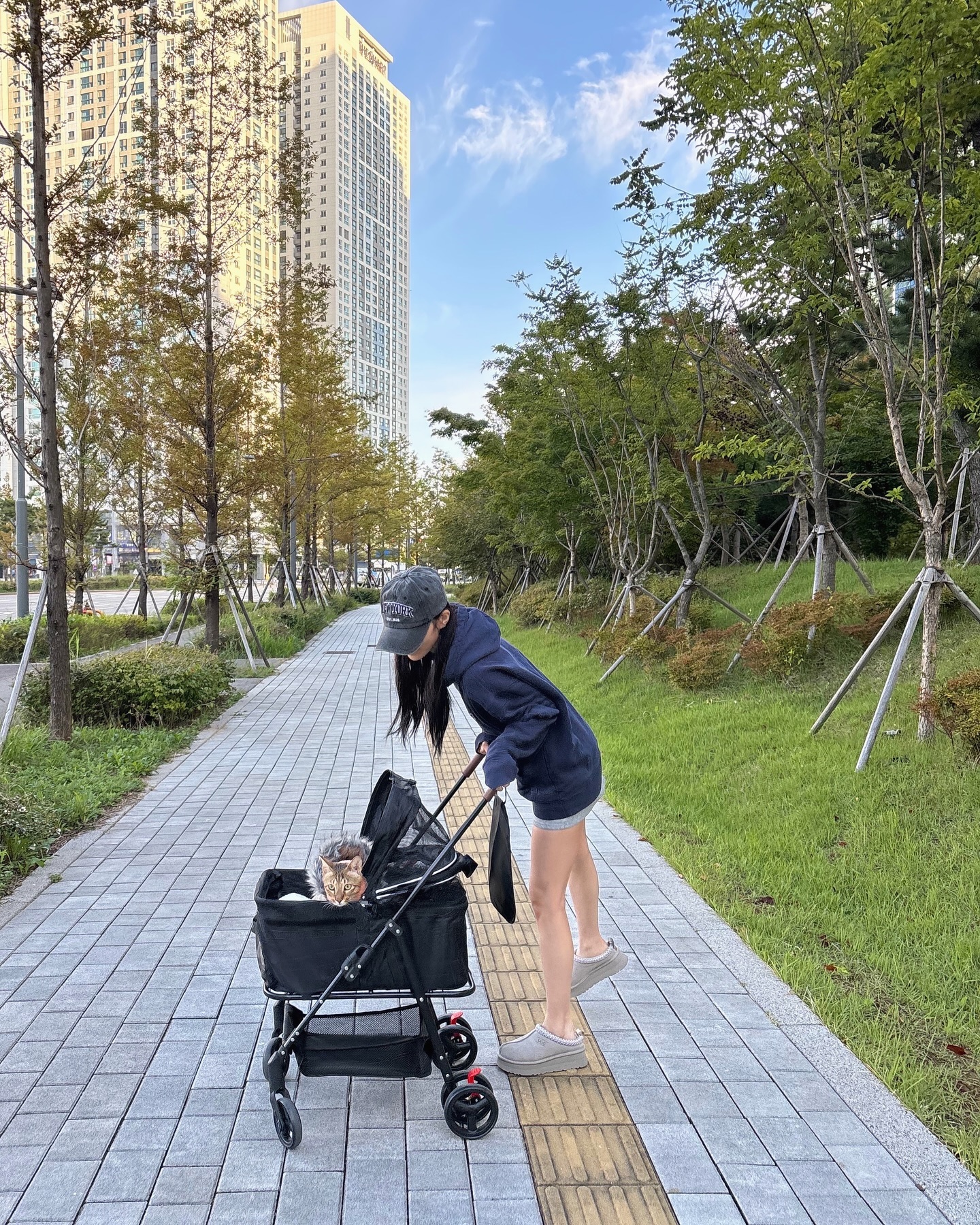 [잡담] 고양이 산책시키는 아이돌을 또 보다니 | 인스티즈