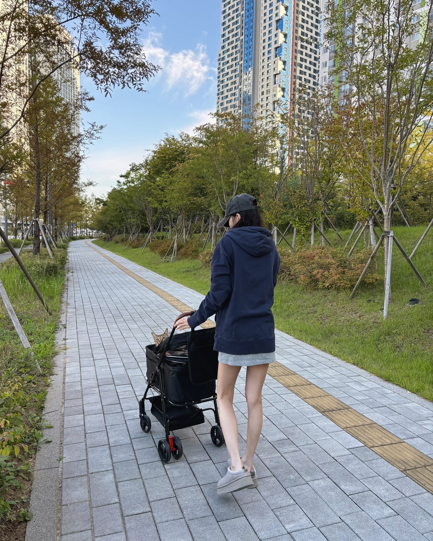 [잡담] 고양이 산책시키는 아이돌을 또 보다니 | 인스티즈