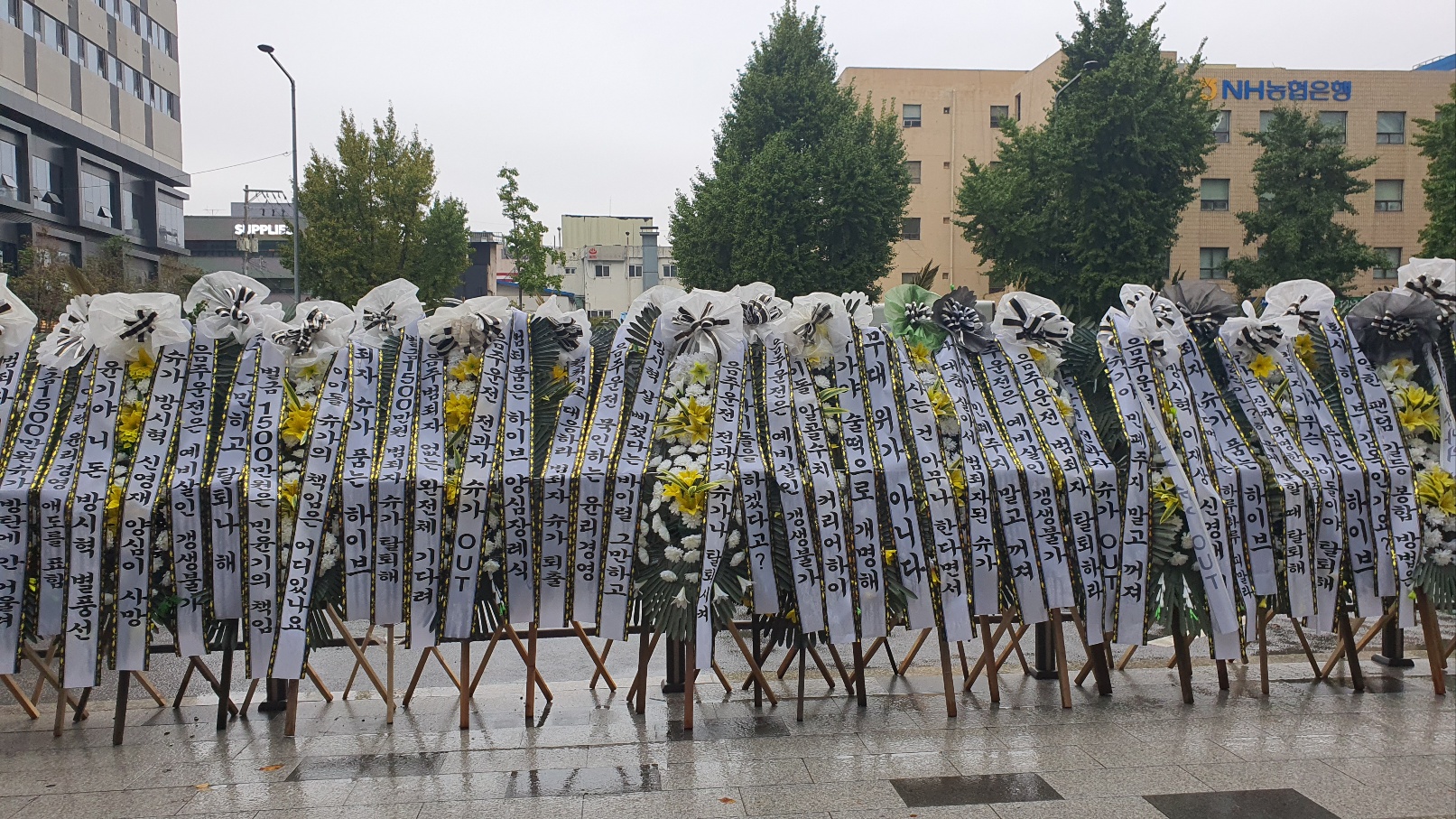 [정보/소식] 🌸슈가 탈퇴 꽃축제 3일차🌼 | 인스티즈