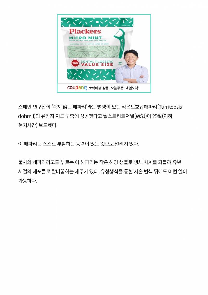 [잡담] 영원히 죽지 않는 해파리가 있대 캐신기해 | 인스티즈