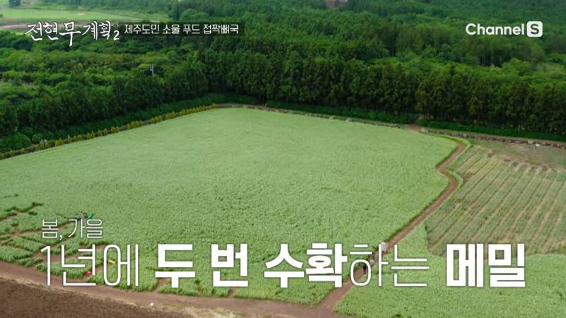 의외로 패스트푸드라는 한국 전통 음식 | 인스티즈