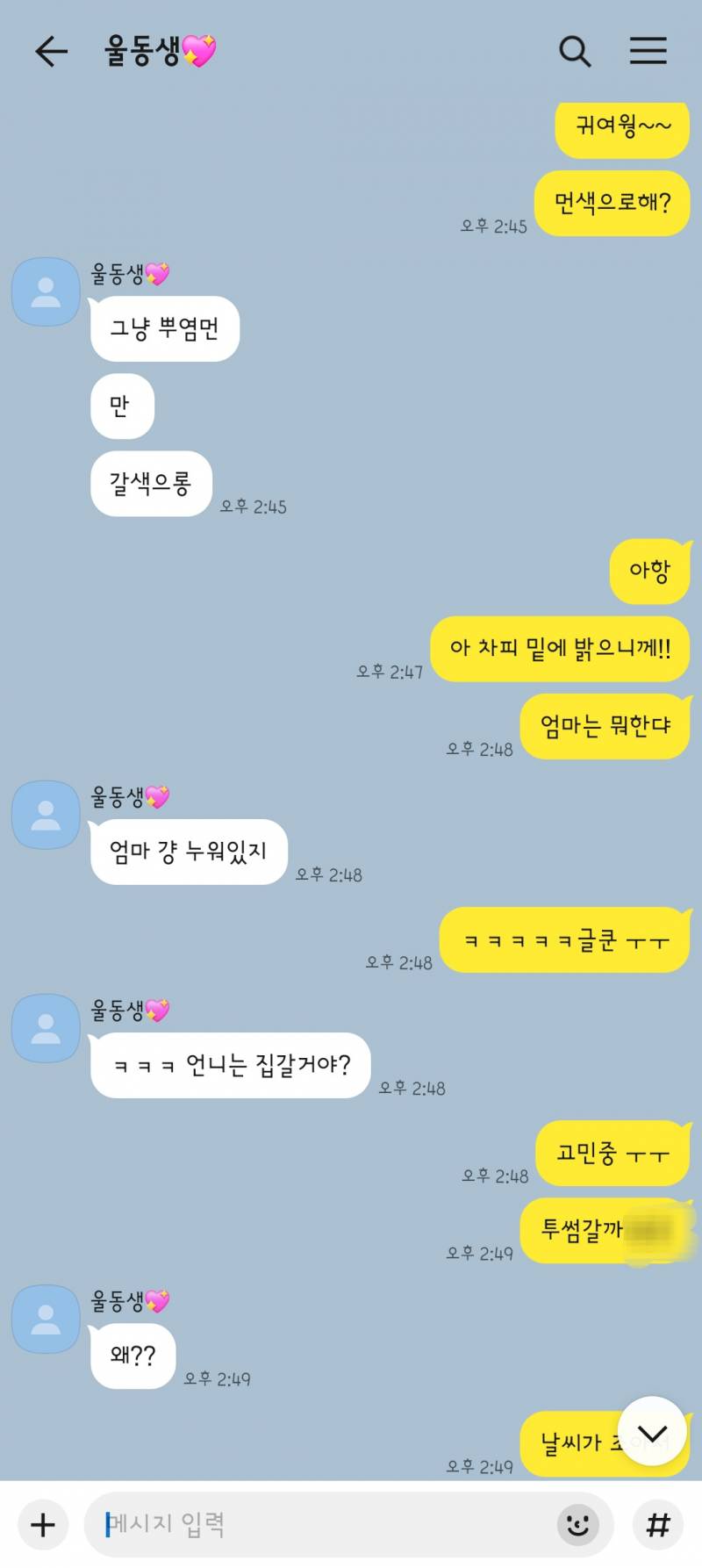 [잡담] 동생이 너무 시크해 흐읍흐읍 심심해 | 인스티즈