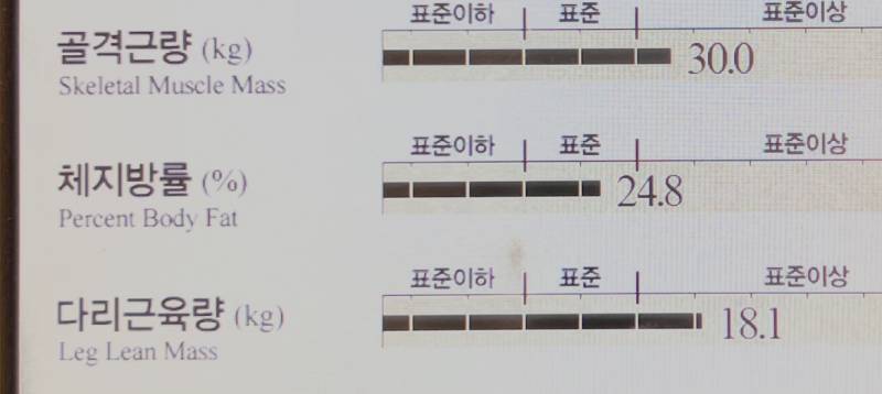 [잡담] 인바디 짜잔.. | 인스티즈