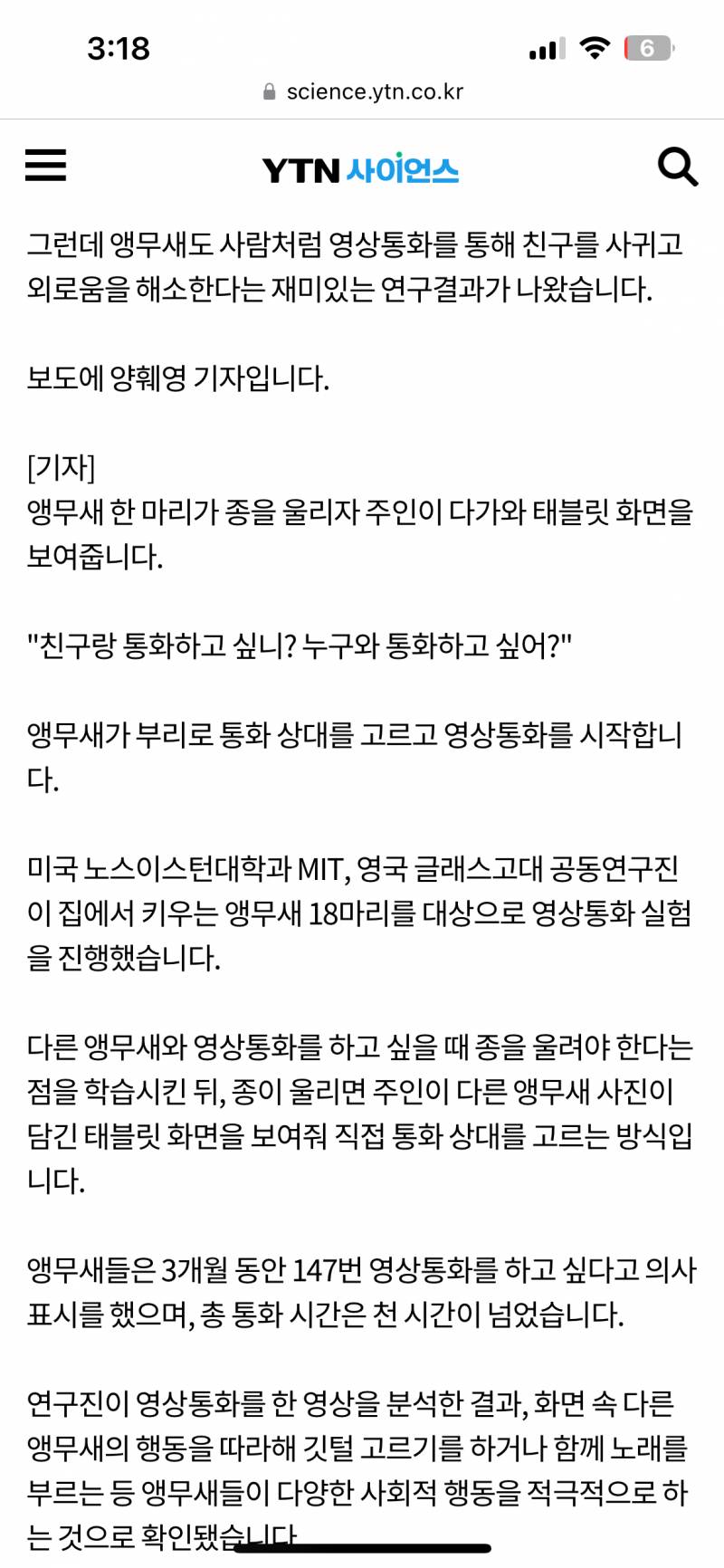 [잡담] 앵무새도 열심히 사회활동을 하는데 난 소홀히 함 | 인스티즈