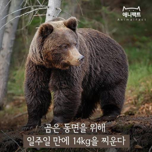 [잡담] 안녕 신판들 | 인스티즈