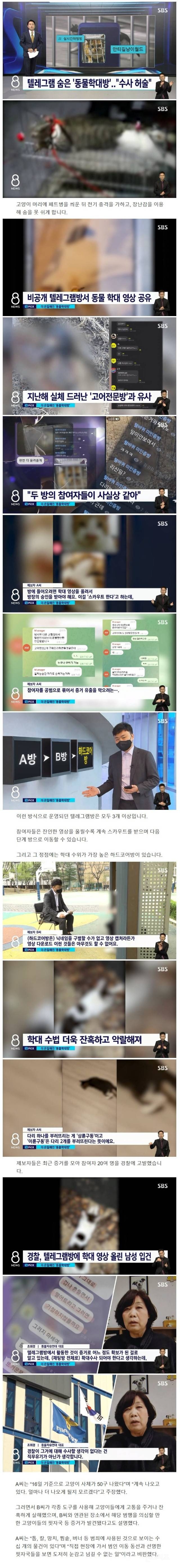 텔레그램 숨은 동물학대방 | 인스티즈