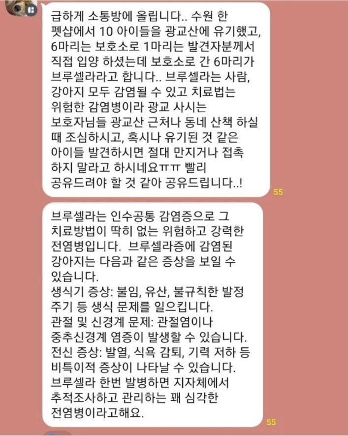 [잡담] 수원 사는 견주들아 조심해 | 인스티즈