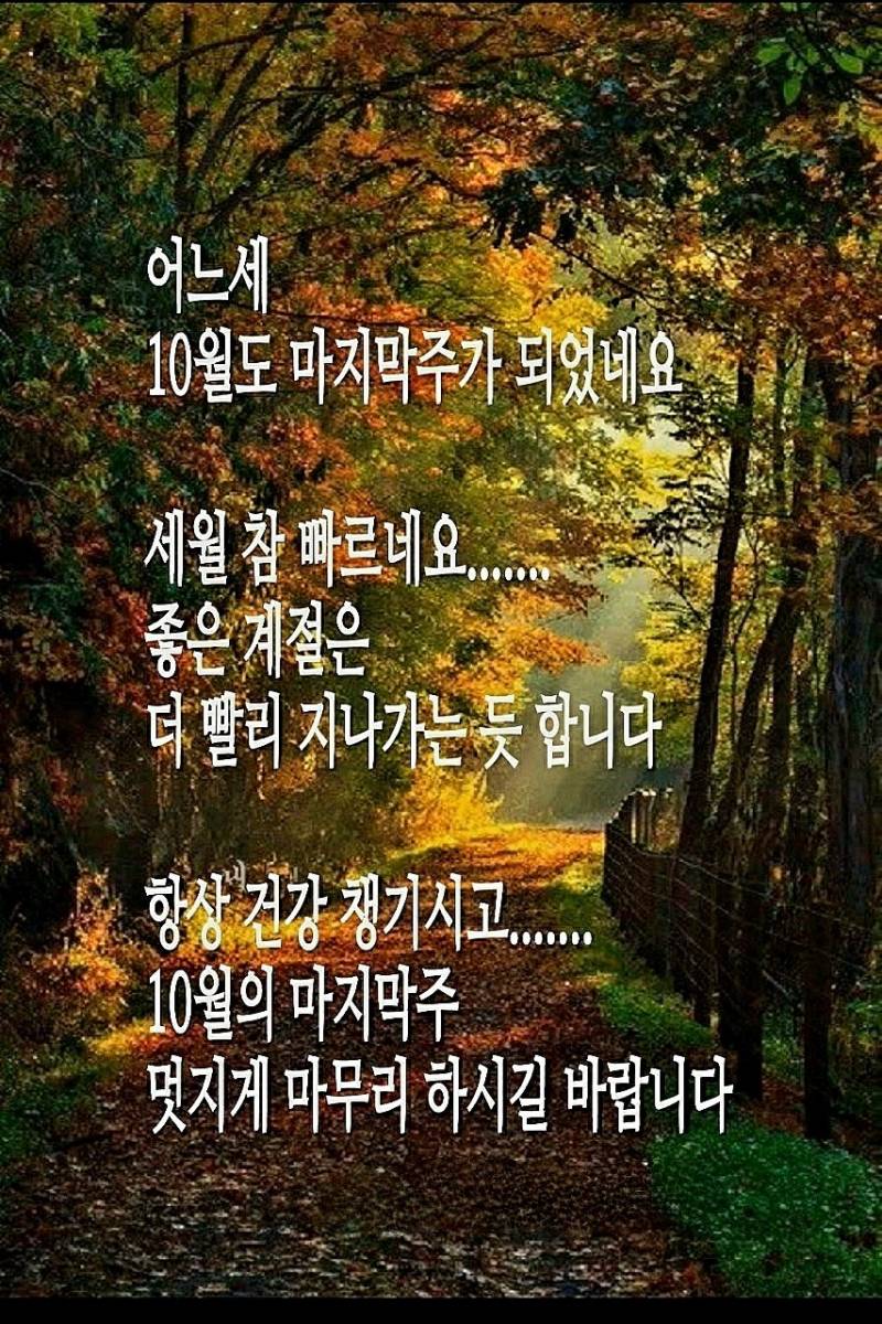 [잡담] 얘들아 | 인스티즈