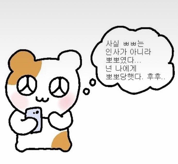 [잡담] 익들은 취미가 뭐야??요즘 노잼시기라서 공유해주라☘️ | 인스티즈