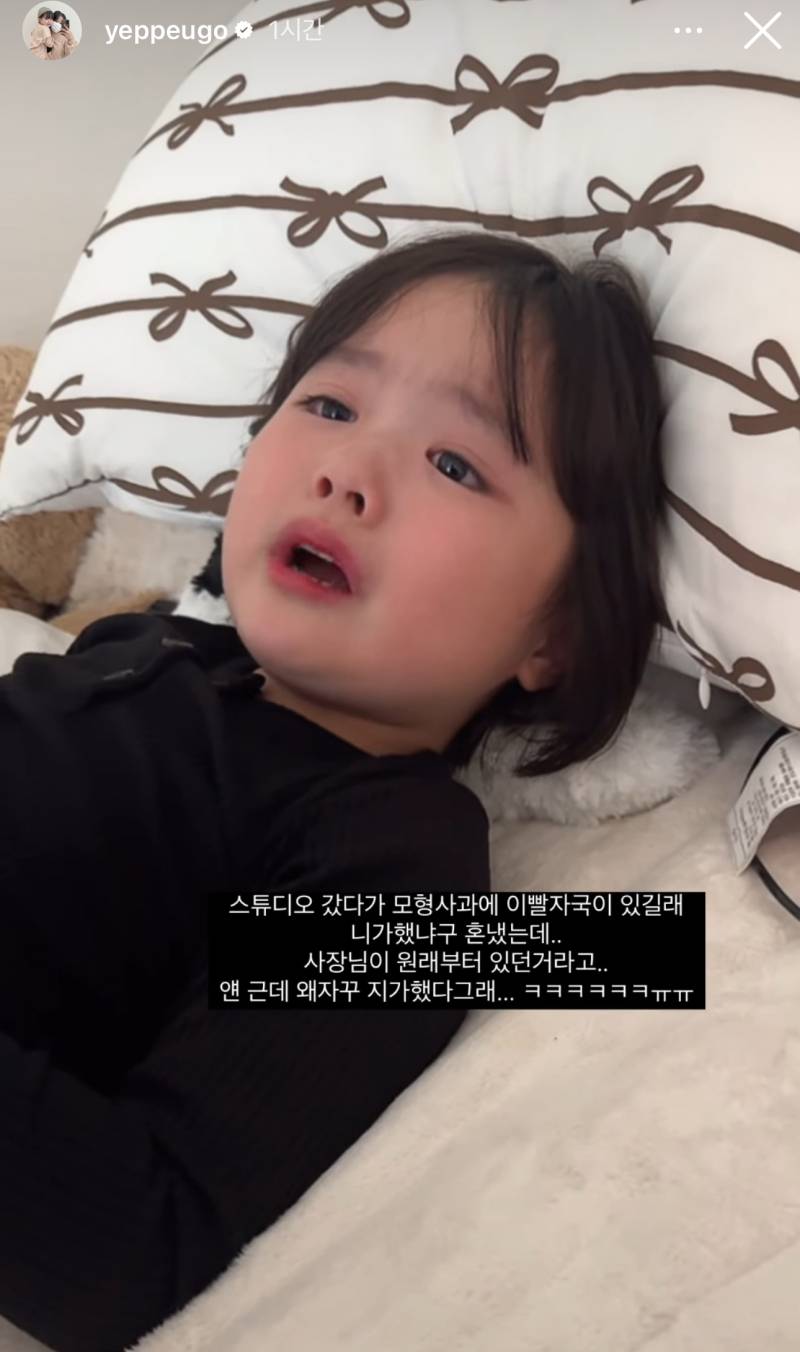 [잡담] 고운이 왜케 기엽지 ㅋㅋㅋㅋ스튜디오에 모형 사과에 이빨자국 있어서 | 인스티즈