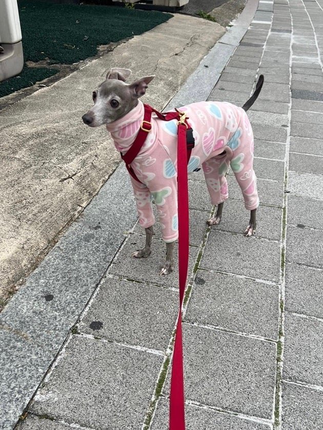 [잡담] 음빠빠가 너무 귀여워🥺 | 인스티즈