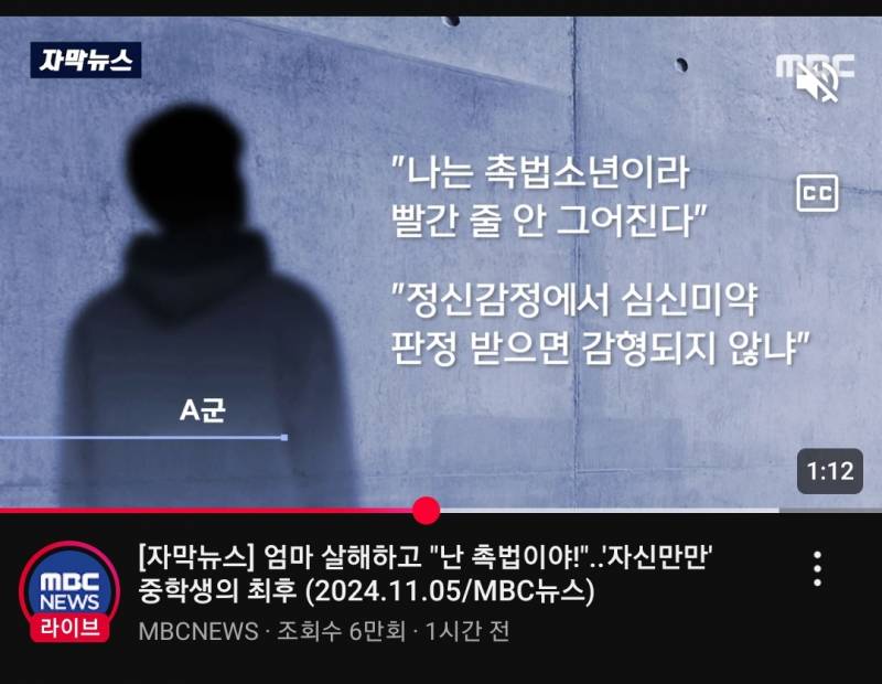 [잡담] 사회가 얼마나 심신미약 촉법소년을 봐줬으면 중학생이 이런말을 하냐 | 인스티즈