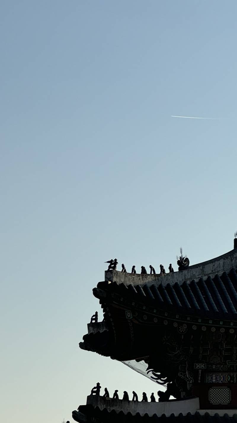 [잡담] 오늘 혼자 경복궁 댕겨옴 | 인스티즈