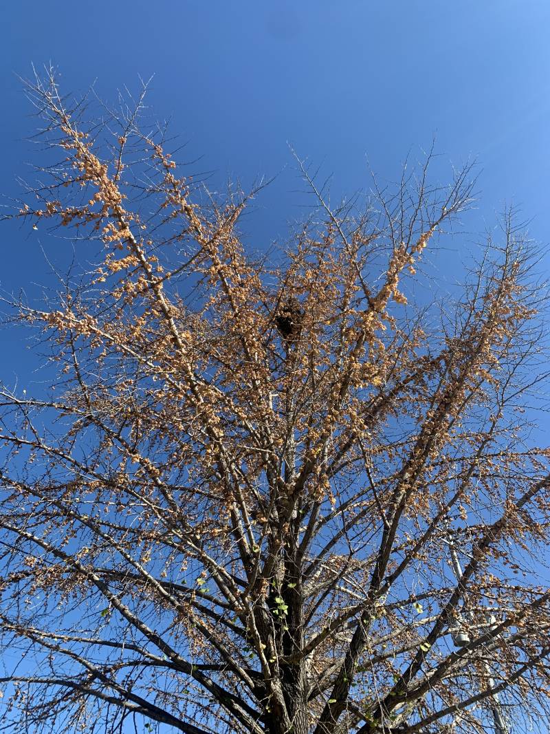 [잡담] 내가 냄새나는 사진 보여줄게 | 인스티즈